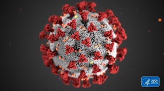 COVID-19 Virus 3D model