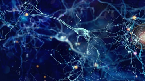 Neurons cells concept stock photo