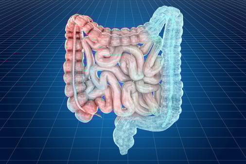 Visualization 3d cad model of human bowel stock photo from iStockPhoto by AlexLMX