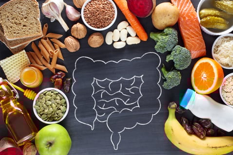 Healthy gut stock photo from iStockPhoto by piotr_malczyk