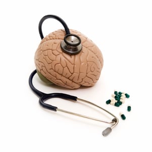 brain