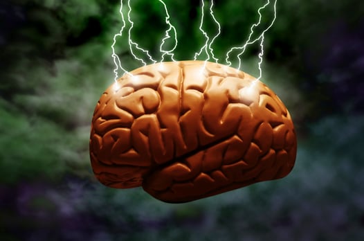 brain
