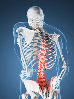 3-D rendering of the back of a human skeleton. Mid-lower spine highlighted in red