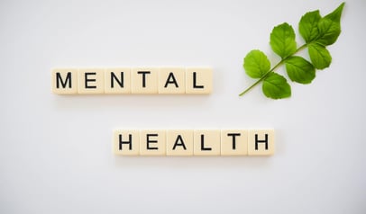 Mental Health blocks
