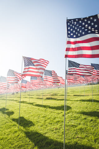 american flags on lawn