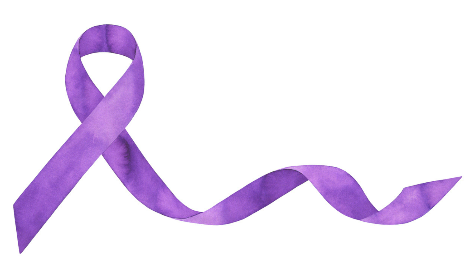 Accessible Shelters for Survivors of Domestic Violence with Paralysis