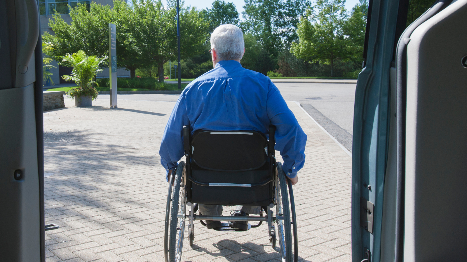 back of older man in wheelchair