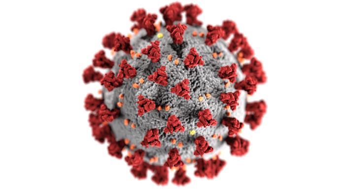 COVID-19 Virus 3D model