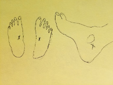 foot diagram