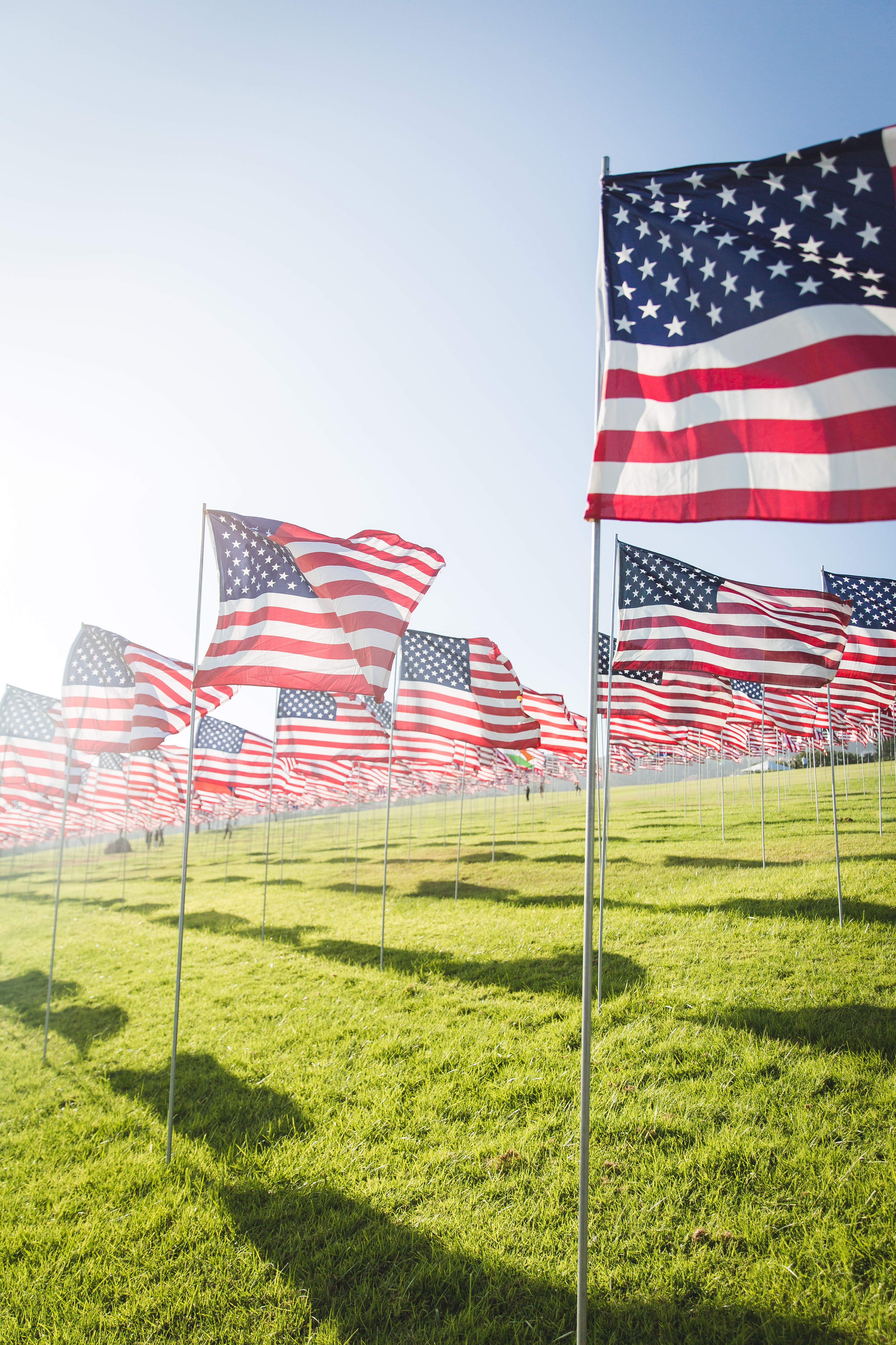 AMERICAN FLAGS ON LAWN