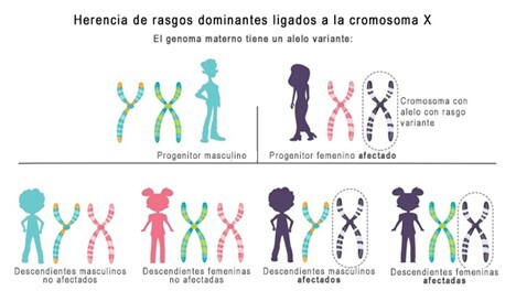 gene spanish